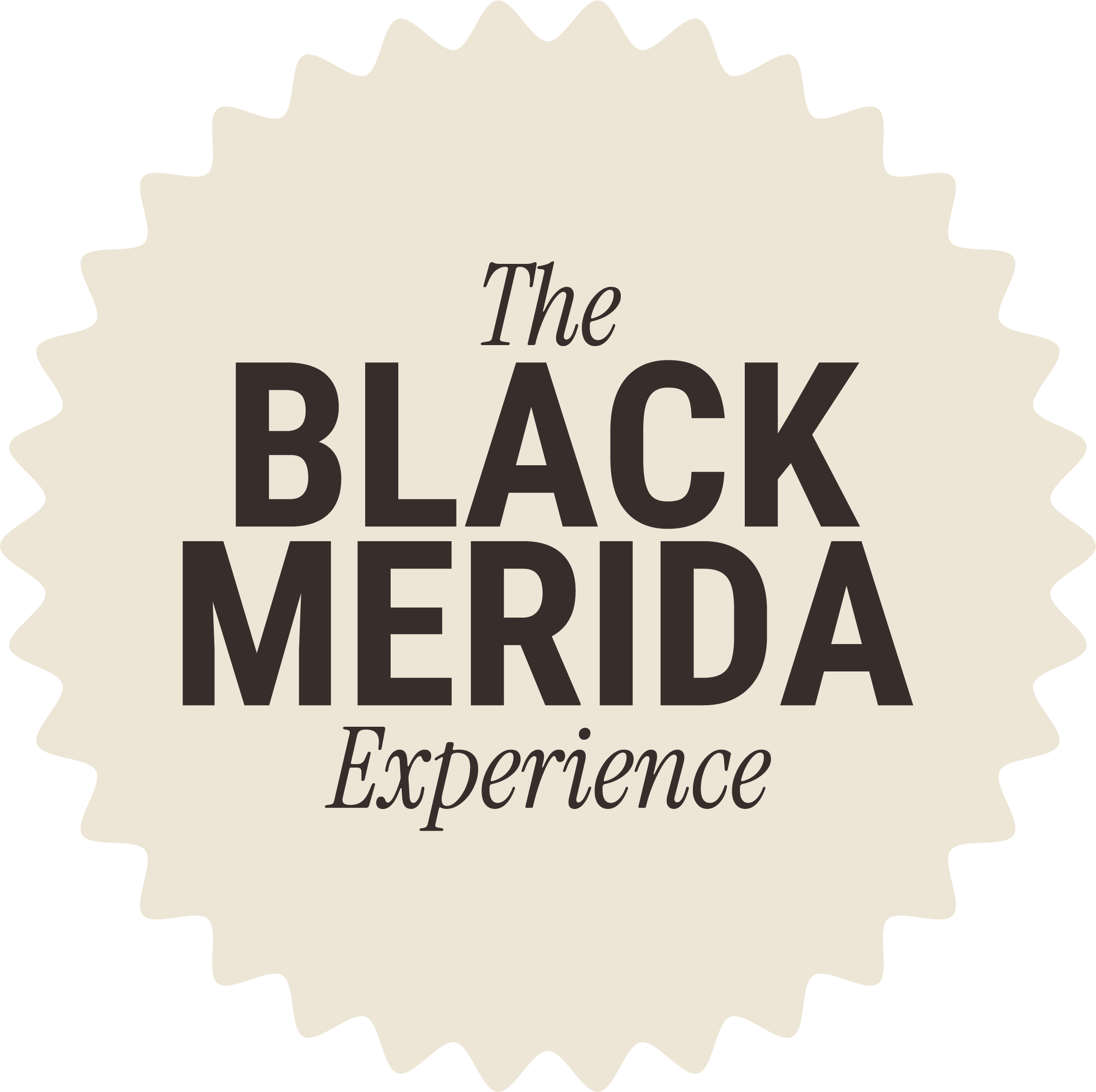 An alternate variant of The Black Mérida Experience logo, representing the collective spirit of Black community and global connections.