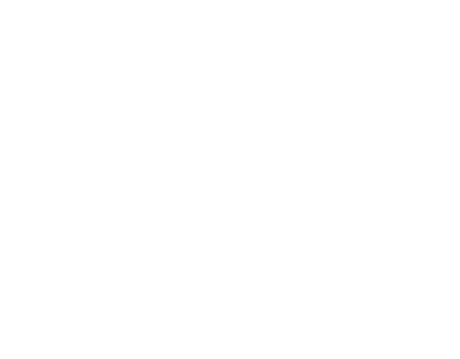 The Black Mérida Experience Logo